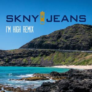 อัลบัม I'm High (feat. Hirie) [Remix] ศิลปิน Hirie