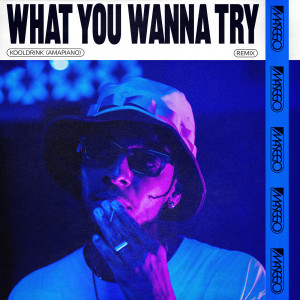 อัลบัม What You Wanna Try (Kooldrink (Amapiano) Remix) ศิลปิน Masego