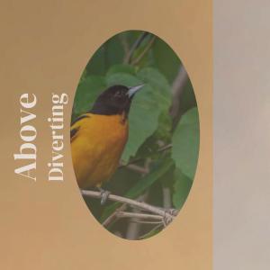 Listen to Right-wing Ibi song with lyrics from Adao Binh