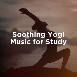 Album Soothing Yogi Music for Study from Celtic Meditation Music Specialists