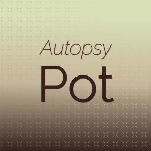 Dengarkan Autopsy Pot lagu dari Ceda Feon dengan lirik