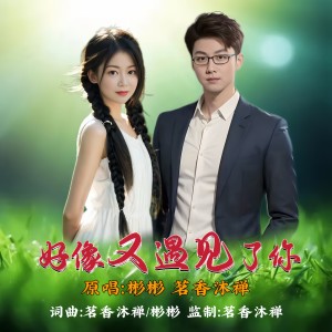 Listen to 好像又遇见了你（对唱版） (伴奏) song with lyrics from 彬彬