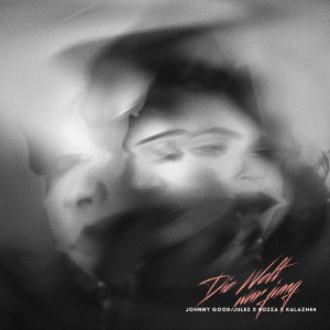 Album DIE WELT WAR JUNG oleh Johnny Good