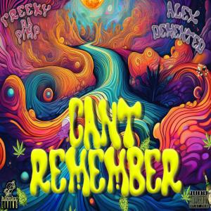 ดาวน์โหลดและฟังเพลง Cant Remember (feat. Alex Demented) (Explicit) พร้อมเนื้อเพลงจาก Freeky Da Pimp