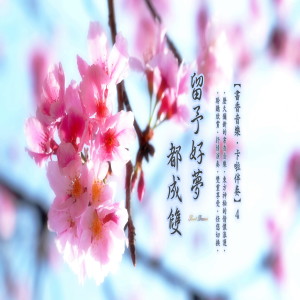 书香音乐·卡啦伴奏系列 (4): 留予好梦都成双 dari 方岩
