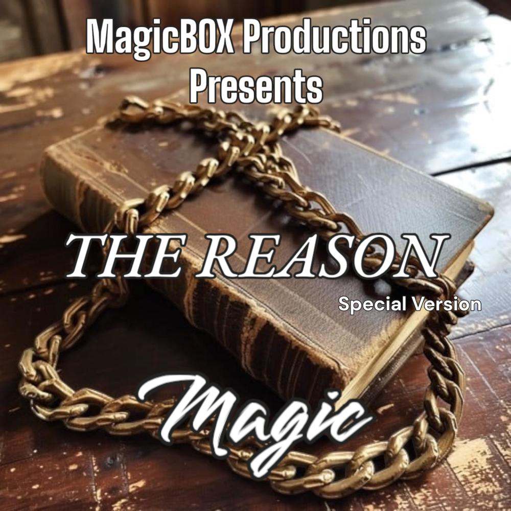 The Reason (Special Version)