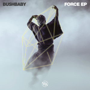 收听Bushbaby的Force歌词歌曲