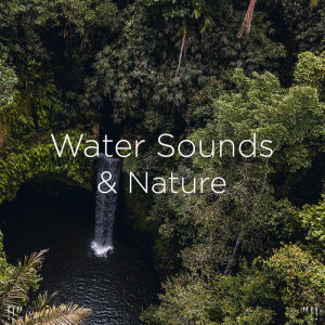 收听Nature Sounds的Nature Sleep Sounds歌词歌曲