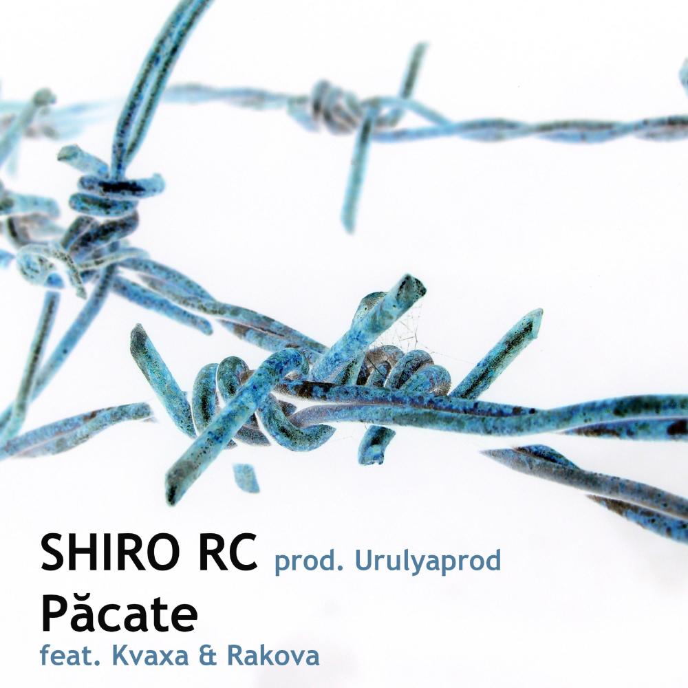 Păcate