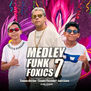 Leandro Fuxicando的專輯Medley Funk Foxics 7 (Explicit)