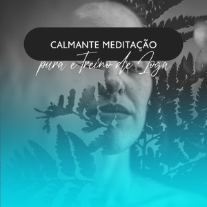 Album Calmante Meditação pura e Treino de Ioga para Alívio do Estresse (Terapia de Cura Profunda com Música New Age) from 