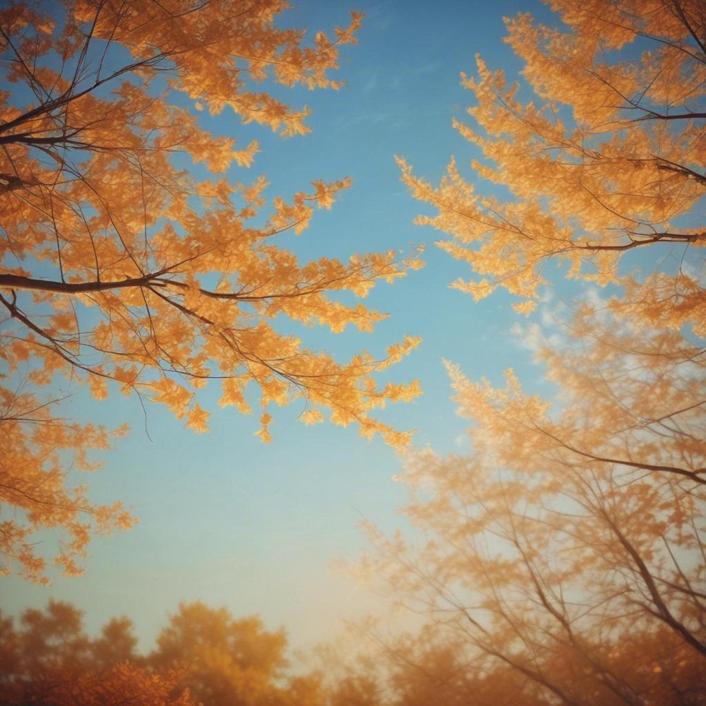 Whispers of the Heart