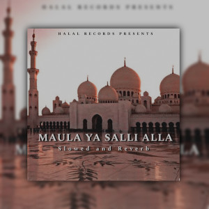 Listen to Maula Ya Salli (Slowed and Reverb) song with lyrics from Nasheed Rhmn