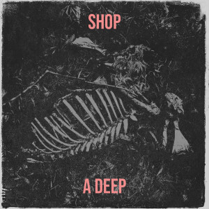 Listen to Shop song with lyrics from A Deep