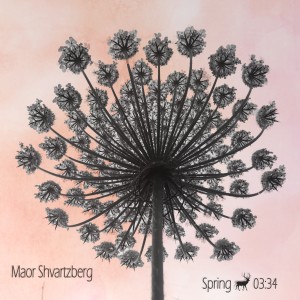 ดาวน์โหลดและฟังเพลง Spring พร้อมเนื้อเพลงจาก Maor Shvartzberg