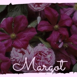 Listen to Margot song with lyrics from Alberto Castillo