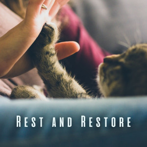 Meditation and Stress Relief Therapy的專輯Rest and Restore: Guided Meditations for Mindful Cats