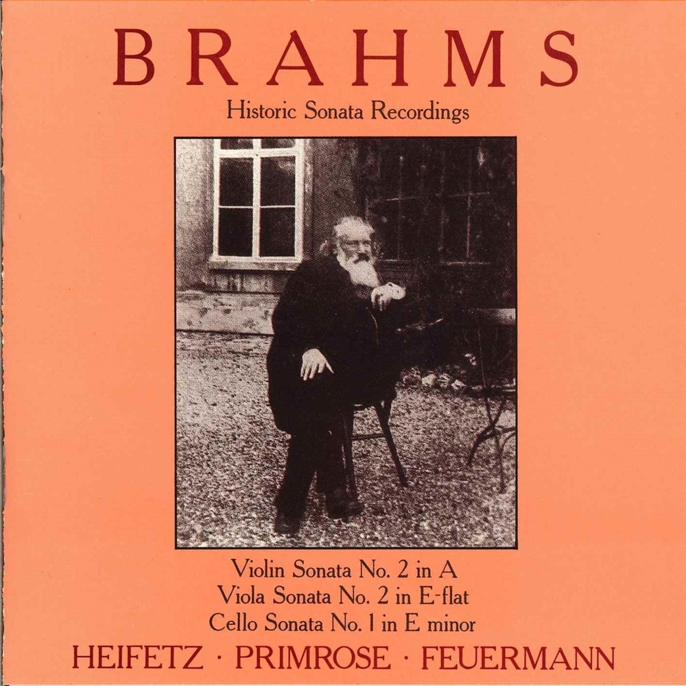 Clarinet Sonata No. 2 in E-Flat Major, Op. 120 No. 2 (Version for Viola & Piano): III. Andante con moto - Allegro