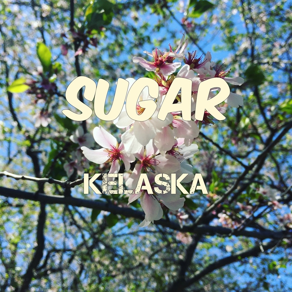 Sugar