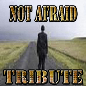 ดาวน์โหลดและฟังเพลง Not Afraid พร้อมเนื้อเพลงจาก I'm Not Afraid