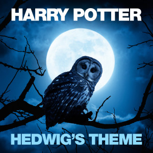 ดาวน์โหลดและฟังเพลง Williams: Hedwig's Theme (From "Harry Potter And The Philosopher's Stone") พร้อมเนื้อเพลงจาก Czech National Symphony Orchestra, Prague