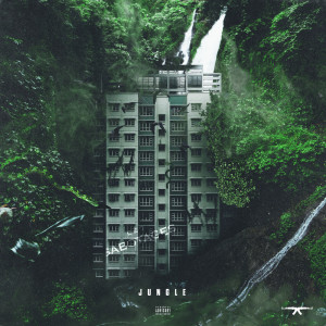 ดาวน์โหลดและฟังเพลง JUNGLE (Explicit) พร้อมเนื้อเพลงจาก MellemFingaMuzik