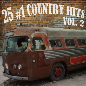 ดาวน์โหลดและฟังเพลง Take a Back Road พร้อมเนื้อเพลงจาก American Country Hits