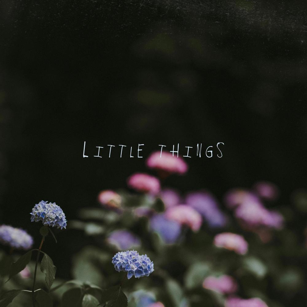 Little Things