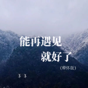 Album 能再遇见就好了 (释怀版) oleh 羊羊