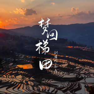 康乙的专辑梦回梯田
