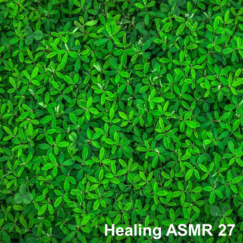 Healing ASMR 27 - Healing White Noise Comfortable Rain Sound for Relaxation, Sleep, Mental and Physical Stability 1 Hour
