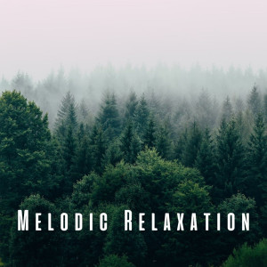 Melodic Relaxation: Gentle Forest Rain Symphony ASMR