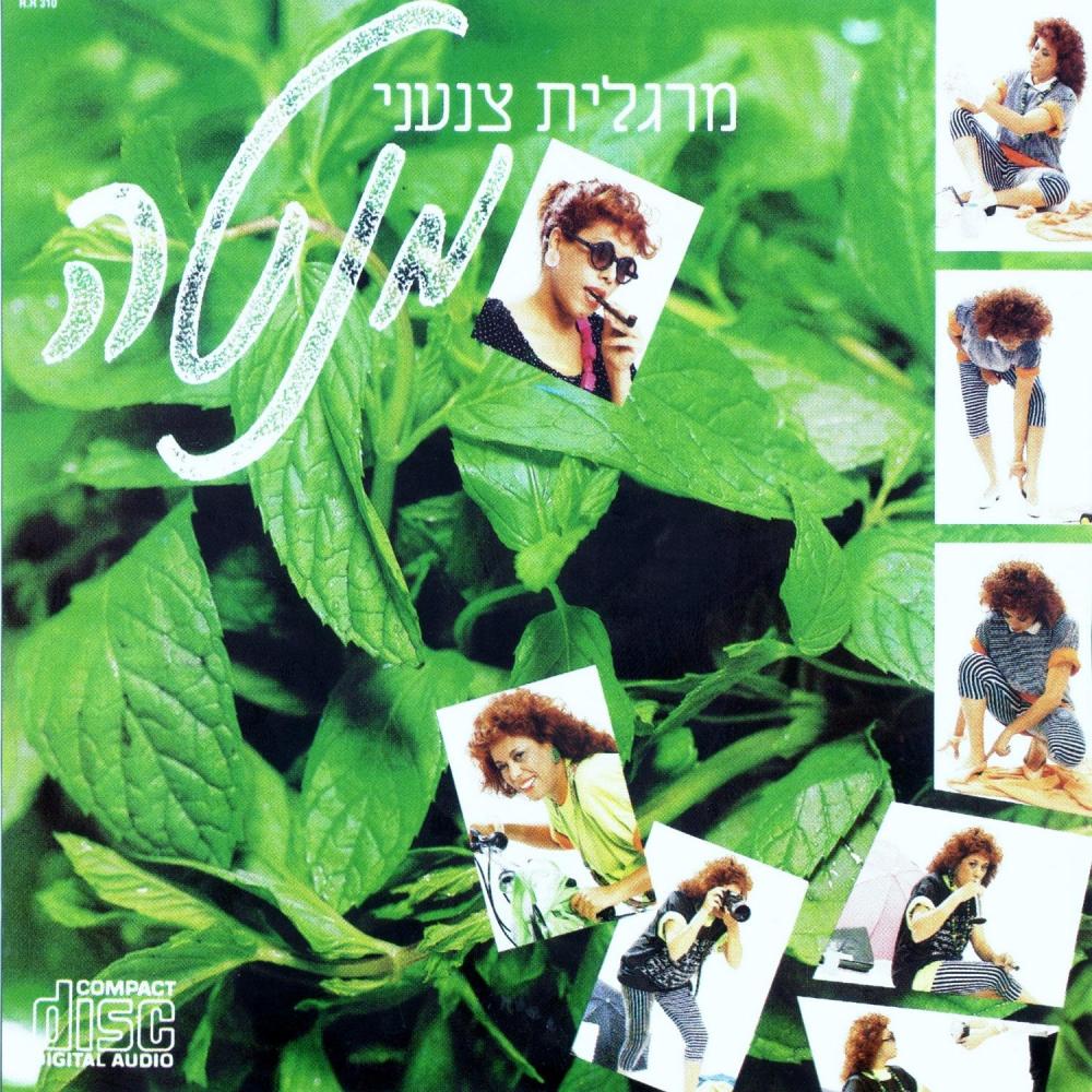 מחרוזת ערבית (其他)