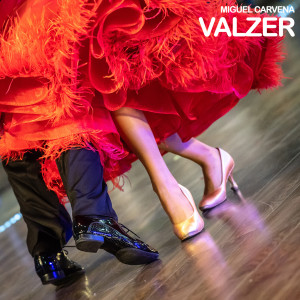 ดาวน์โหลดและฟังเพลง Valzer พร้อมเนื้อเพลงจาก Miguel Carvena