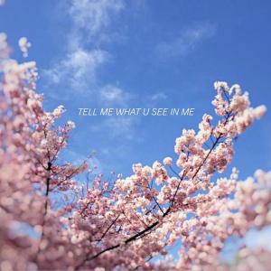 Westwood的專輯TELL ME WHAT U SEE IN ME