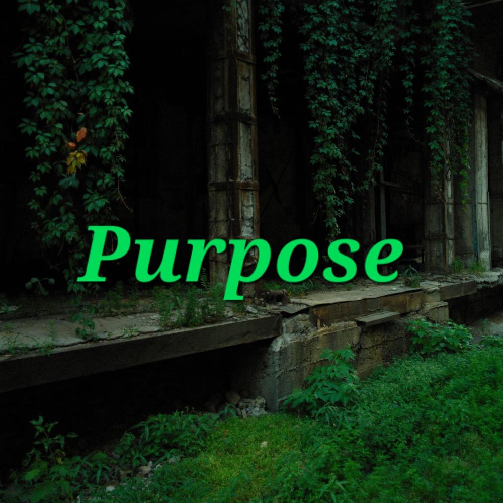 Purpose (feat. Crisisbeatzz)