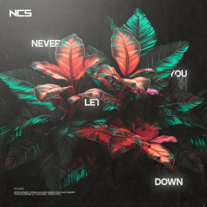 Itro的專輯Never Let You Down
