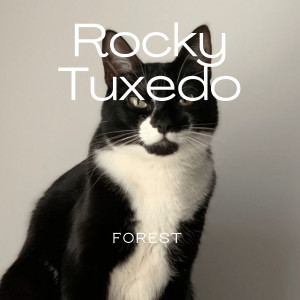 ดาวน์โหลดและฟังเพลง Rocky Tuxedo พร้อมเนื้อเพลงจาก Forest