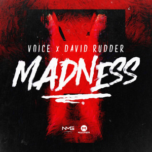 Album Madness from David Rudder