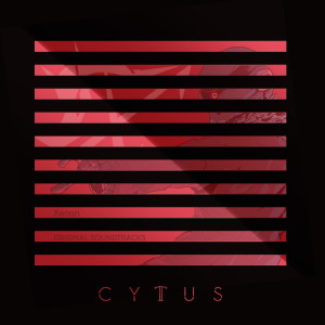 ดาวน์โหลดและฟังเพลง Fighting พร้อมเนื้อเพลงจาก Claymore