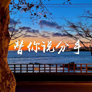 安兒陳的專輯替你说分手