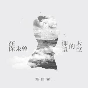 Listen to 在你未曾仰望的天空 song with lyrics from 赵佳霖