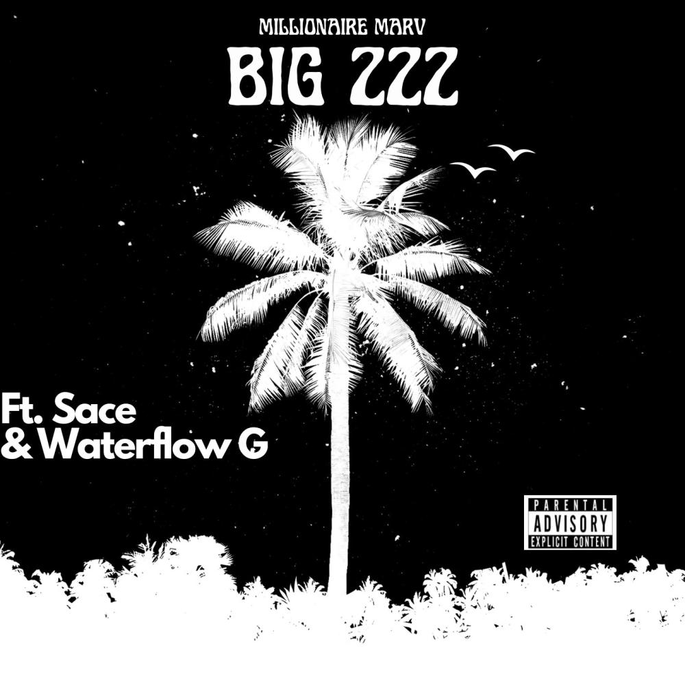 Big Z'z (feat. Waterflow G & Sace) (Explicit)