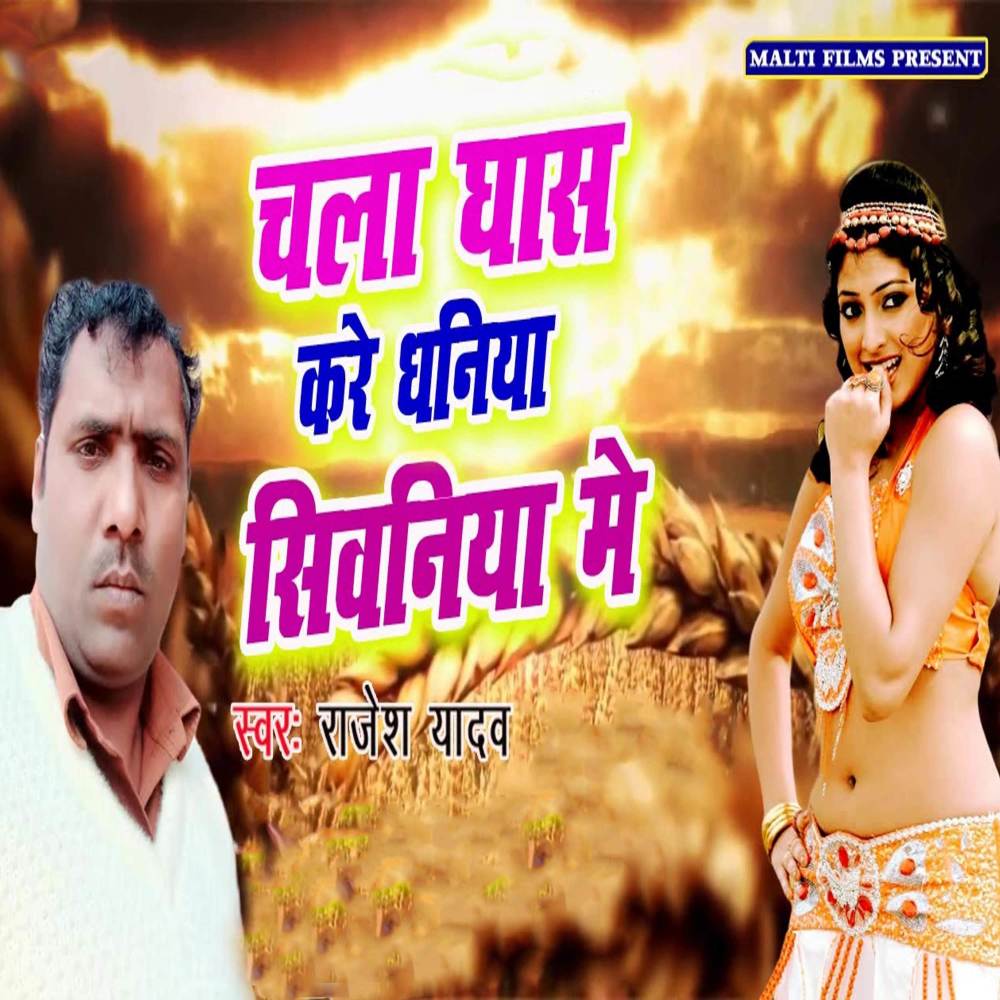 Chala Ghas Kare Dhaniya Siwaniya Me