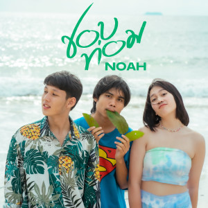 Listen to ชอบท่อม song with lyrics from NOAH