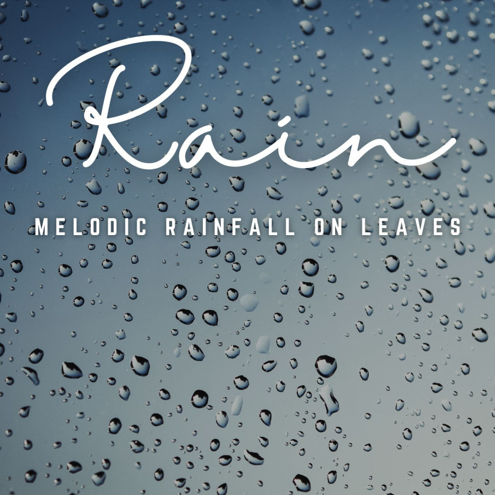 Whispering Rain's Melodic Journey
