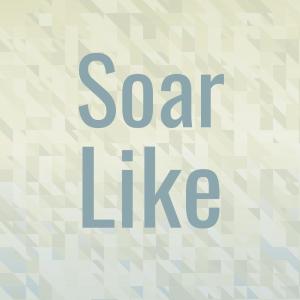 Listen to Solitary Bless song with lyrics from Hyma Laina