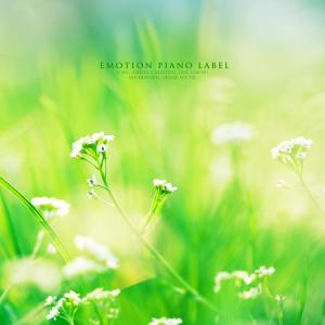 ดาวน์โหลดและฟังเพลง Climb To The Green Hill พร้อมเนื้อเพลงจาก Melody Wind