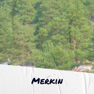 Listen to Entertainment song with lyrics from Fier Jasser