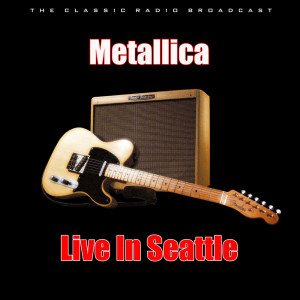 Dengarkan lagu Bass Solo (Live) nyanyian Metallica dengan lirik